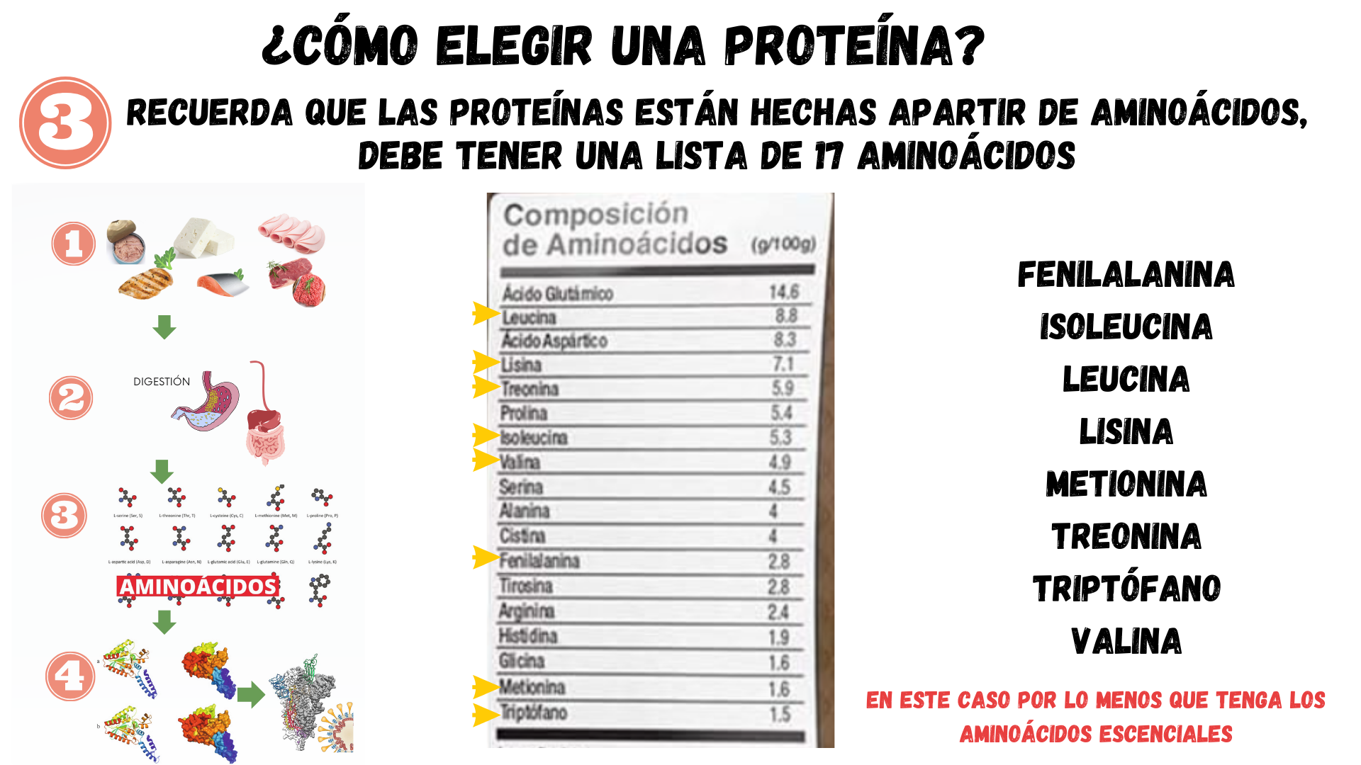 Sugerencias para seleccionar una proteína como suplemento